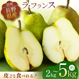 【ふるさと納税】【先行受付】【選べる内容量】 お好みの硬さをドンピシャで。皮ごと 食べられる ラフランス 約2kg 約3kg 約5kg | ふるさと納税 果物 フルーツ ラフランス らふらんす 梨 なし ナシ 長野県 松本市 西洋梨 くだもの ふるーつ