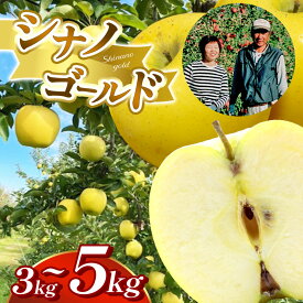 【ふるさと納税】贈答用 【選べる】 シナノゴールド 約3kg 約5kg｜ シナノゴールド りんご リンゴ 林檎 果物 フルーツ くだもの 長野県 松本市 信州 信州りんご 長野県産りんご