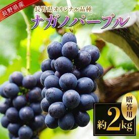 【ふるさと納税】【先行受付：9月発送】ナガノパープル2kg贈答 | ふるさと納税 果物 ぶどう 葡萄 ナガノパープル フルーツ 贈答 美味しい 特別 長野県 松本市 信州