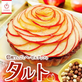 【ふるさと納税】信州りんごとヘーゼルナッツのタルト 直径約13cm 1個 ｜ 菓子 ふるさと納税 お菓子 おやつ タルト ケーキ りんご ヘーゼルナッツ スイーツ 洋菓子 ご当地 長野県 松本市