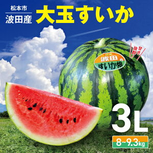 �y�ӂ邳�Ɣ[�Łz�y2026�N�����z��s�\�� ���{�s �g�c�Y ��ʂ������i�T�C�Y3L�j�� ��s�\�� �M�B ���{�s ���쌧 ���Z ������ �ʕ� ��� �X�C�J �t���[�c �������� �{�̃X�C�J ��ʃX�C�J �V