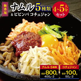 【ふるさと納税】韓国 家庭料理 ナムル 5種類 (800g)と ビビンバ コチュジャン(100g) 4～5人分 セット ｜長野県 松本市 無添加 韓国料理 セットナムル セット 詰め合わせ 韓国食品 食材 総菜