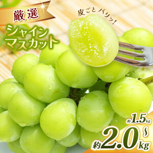 yӂ邳Ɣ[ŁzI VC}XJbg 1.5`2.0kgbӂ邳Ɣ[ 쌧 {s MB VC}XJbg Ԃǂ t[c ʕ Â Ȃ Ԍ
