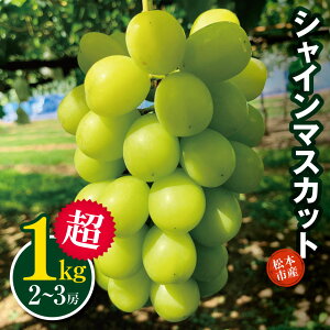 �y�ӂ邳�Ɣ[�Łz�y2026�N�����z ��s�\�� ���{�s�Y �����p �V���C���}�X�J�b�g 1kg���i2�`3�[�j�b���� �v���[���g �V���C���}�X�J�b�g ���Ⴂ��܂������� �Ԃǂ� �u�h�E ���� �������� �ʕ�