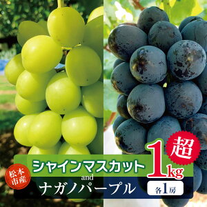 �y�ӂ邳�Ɣ[�Łz�y2026�N�����z ��s�\�� ���{�s�Y �����p �V���C���}�X�J�b�g�A�i�K�m�p�[�v���@�e1�[�i1kg���j�b ���� �v���[���g �V���C���}�X�J�b�g ���Ⴂ��܂������� �i�K�m�p�[�v