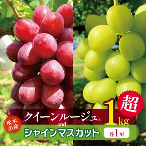 �y�ӂ邳�Ɣ[�Łz�y2026�N�����z�y��s�\��z ���{�s�Y �����p �N�C�[�����[�W��R�A�V���C���}�X�J�b�g�@�e1�[�i1kg���j�b���� �v���[���g �V���C���}�X�J�b�g ���Ⴂ��܂������� �N�C�[��