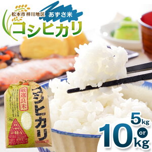 【ふるさと納税】松本市梓川地区「あずさ米」コシヒカリ5kg × 1袋〜2袋| ふるさと納税 松本市 長野県 松本市 コシヒカリ 5kg 米 コメ 白米 精米 お取り寄せ 贈答 ごはん 贈り物 風味