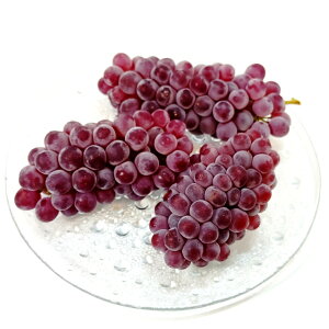 �y�ӂ邳�Ɣ[�Łz�y��s��t�F2026�N�����z �M�B�Y �f���E�F�A ��2kg (11�`14�[) �b�ӂ邳�Ɣ[�� ���{�s �Ԃǂ� ���� �f���E�F�A �ʕ� �t���[�c �V�N �M�B�Y ��s�\��