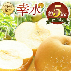 �y�ӂ邳�Ɣ[�Łz�y��s��t�F2026�N�����z�K�� 10�`14�ʁi��5kg�j�b�ӂ邳�Ɣ[�� ���쌧 ���{�s �K�� �� �Â� �W���[�V�[ �t���[�c ��l�C