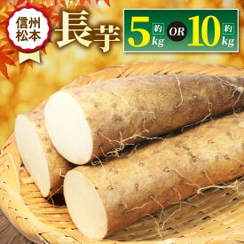 【ふるさと納税】【先行受付：11月発送】選べる　長芋 2L～4L （約5kg～10kg）｜ふるさと納税 松本市 信州産 野菜 長芋 長いも 料理 自然 芋 ビタミン 豊富 地元 新鮮