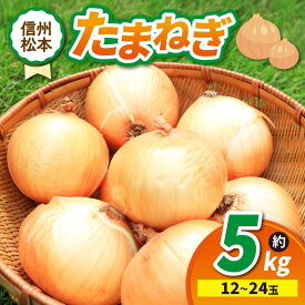 【ふるさと納税】【先行受付】たまねぎ 2L～M 12～24玉 約5kg｜ふるさと納税 松本市 たまねぎ 玉葱 サラダ 農家 料理 自然 ビタミン 豊富 地元 新鮮