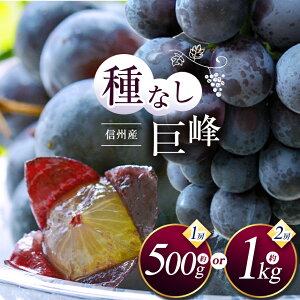 yӂ邳Ɣ[ŁzystzIׂ MBY 햳 1[500g or 2[ 1kgbӂ邳Ɣ[ {s  Ԃǂ  ʕ t[c  햳 VN MBY s\