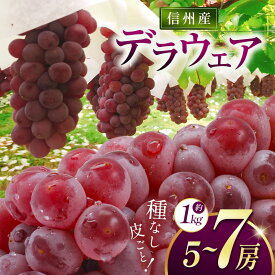 【ふるさと納税】 葡萄 | 先行受付 長野県産 ぶどう 選べる 品種 4種類 ｜ ぶどう 葡萄 クイーンルージュ®　デラウェア 巨峰 ピオーネ 種なし 選べる種類 果物 フルーツ 新鮮 信州産 先行予約 長野県 松本市 産地直送 果実 旬 オススメ 人気