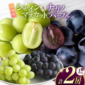 �y�ӂ邳�Ɣ[�Łz�y��s��t�F2026�N�����z�M�B�Y �i�K�m�p�[�v���A�V���C���}�X�J�b�g�̃Z�b�g ��1kg (2�[)�b�ӂ邳�Ɣ[�� ���{�s �Ԃǂ� ���� �V���C���}�X�J�b�g �i�K�m�p�[�v�� �ʕ� �t