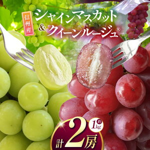 yӂ邳Ɣ[ŁzystzMBY NC[[WRAVC}XJbg̃Zbg 1kg (2[)bӂ邳Ɣ[ {s Ԃǂ  VC}XJbg NC[[W ʕ t[c 