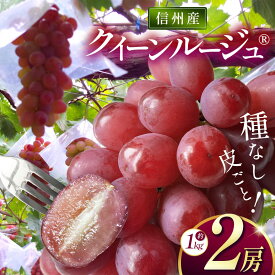 【ふるさと納税】信州産 クイーンルージュ® 2房 約1kg｜ふるさと納税 松本市 ぶどう 葡萄 クイーンルージュ 果物 フルーツ 新鮮 信州産