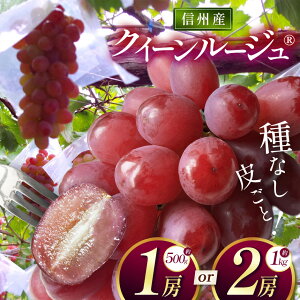 yӂ邳Ɣ[ŁzIׂ MBY NC[[WR1[ 500g or 2[ 1kgbӂ邳Ɣ[ {s Ԃǂ  NC[[W ʕ t[c 햳 VN MBY