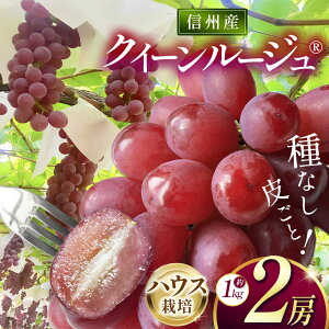 �y�ӂ邳�Ɣ[�Łz�y��s��t�F2026�N�����z�M�B�Y �N�C�[�����[�W��R�i�n�E�X�͔|�j 2�[�i��1kg�j�b�ӂ邳�Ɣ[�� ���{�s �Ԃǂ� ���� �N�C�[�����[�W�� �ʕ� �t���[�c �V�N �M�B�Y