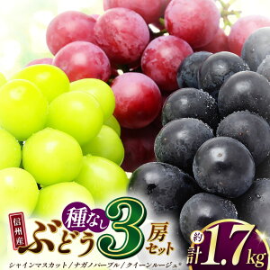 �y�ӂ邳�Ɣ[�Łz�y2026�N�����z��s��t �M�B�Y �V���C���}�X�J�b�g�E�i�K�m�p�[�v���E�N�C�[�����[�W��R 3�[�Z�b�g �i��1.7kg�j�b�ӂ邳�Ɣ[�� ���{�s �Ԃǂ� ���� �V���C���}�X�J�b�g �i