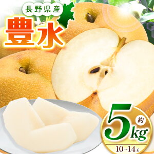 �y�ӂ邳�Ɣ[�Łz�y��s��t�F2026�N�����z�L��5kg�i10�`14�ʁj�b�ӂ邳�Ɣ[�� ���{�s �Ȃ� �� �L�� �ʕ� �ʏ` �_�� ���R �r�^�~�� �n�� �V�N