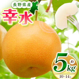 【ふるさと納税】【先行受付：8月発送】幸水5kg（10～14玉）｜なし 梨 幸水 果物 果汁 農家 自然 ビタミン 地元 新鮮 ジューシー ふるさと納税 松本市 先行受付