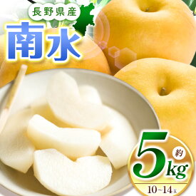 【ふるさと納税】【先行受付：9月発送】 南水5kg（10～14玉）｜ふるさと納税 松本市 なし 梨 南水 果物 果汁 農家 甘い シャリ感 自然 ビタミン 地元 新鮮 ジューシー