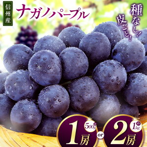 yӂ邳Ɣ[Łzystz2026N yIׂz iKmp[v 1[i500gjor 2[i1kgjbӂ邳Ɣ[ Ԃǂ  iKmp[v ʕ t[c VN MBY s\ 쌧 