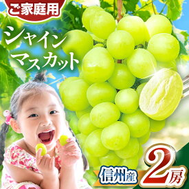 【ふるさと納税】 【2026年発送】先行受付 シャインマスカット 2房（約1kg）｜ ふるさと納税 長野県 松本市 信州産 ぶどう フルーツ 大人気 葡萄 種なし 皮ごと食べれる 産地直送 フルーツ 果実 果物