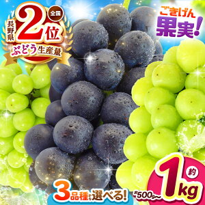 yӂ邳Ɣ[Łz  쌧Y Ԃǂ Iׂ i 3 b Ԃǂ  iKmp[v VC}XJbg   ʕ t[c 햳 VN MBY s\ Iׂ 쌧 