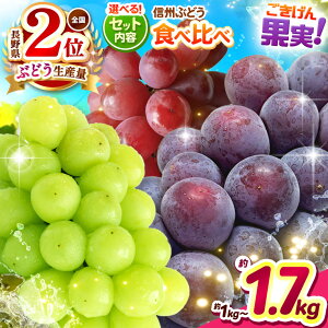 yӂ邳Ɣ[Łzystz쌧YԂǂZbg Iׂg bӂ邳Ɣ[ Ԃǂ  VC}XJbg iKmp[v NC[[W ʕ t[c 햳 VN Zbg H