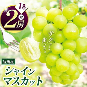 yӂ邳Ɣ[Łz  쌧Y Ԃǂ Iׂ i 3 b Ԃǂ  iKmp[v VC}XJbg   ʕ t[c 햳 VN MBY s\ Iׂ 쌧 