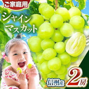 �y�ӂ邳�Ɣ[�Łz �y2026�N�����z��s��t �V���C���}�X�J�b�g 2�[�i��1kg�j�b �ӂ邳�Ɣ[�� ���쌧 ���{�s �M�B�Y �Ԃǂ� �t���[�c ��l�C ���� ��Ȃ� �炲�ƐH�ׂ�� �Y�n���� �t���[�c ��