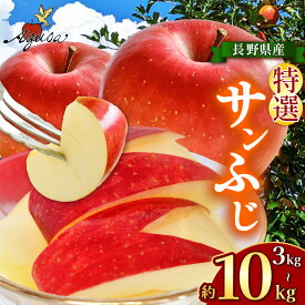 【ふるさと納税】【選べる】サンふじ特選 3kg～10kg｜ふるさと納税 松本市 サンふじ 果物 林檎 りんご 果物 フルーツ 信州 美味しい 特選