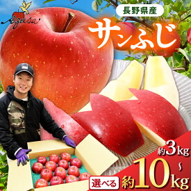 【ふるさと納税】【選べる】サンふじ3kg～10kg｜ふるさと納税 松本市 サンふじ 果物 林檎 りんご 果物 フルーツ 信州 美味しい