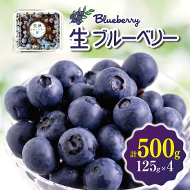 【ふるさと納税】生ブルーベリー　500g│信州 ブルーベリー 新鮮 フルーツ 甘い 粒が大きい 美味しい 特別 松本 ふるさと納税 上高地