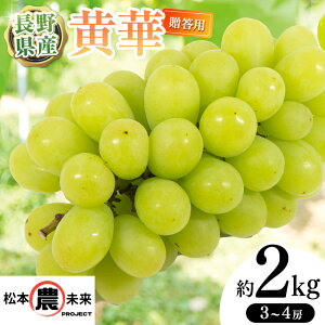 yӂ邳Ɣ[Łzk{_projectl{sY ȂԂǂ p () 2kg (3[`4[)MB { ʕ Ԃǂ  }XJbg t[c uhE 쌧 {s p ʎ W