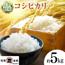 【ふるさと納税】〔松本農未来project〕 新米 令和7年産 信州松本産 こしひかり 5kg│信州 松本 米 お米 ご飯 こしひかり 5kg 長野県 松本市 松本市 ふるさと納税