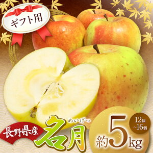 yӂ邳Ɣ[ŁzystzyBꂽiIzMtgp  5kg(12`16j | ӂ邳Ɣ[ ʕ  t[c  S  ь MBY 쌧 {s Mtgp