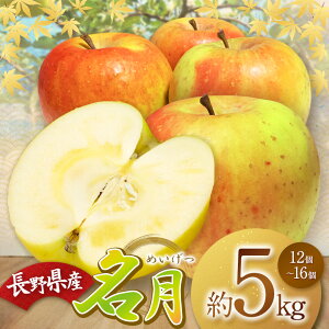 yӂ邳Ɣ[ŁzystzyBꂽiIz 5kg(12`16j | ӂ邳Ɣ[ ʕ  t[c  S  ь MBY 쌧 {s