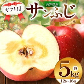 【ふるさと納税】【りんごの王様を農園から】ギフト用 サンふじ 5kg | ふるさと納税 果物 くだもの フルーツ サンふじ リンゴ りんご 林檎 信州産 長野県 松本市