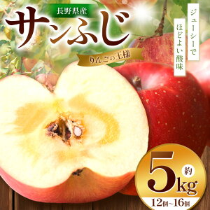 yӂ邳Ɣ[Łzystzy񂲂̉l_zTӂ 5kg | ӂ邳Ɣ[ ʕ  t[c Tӂ S  ь MBY 쌧 {s