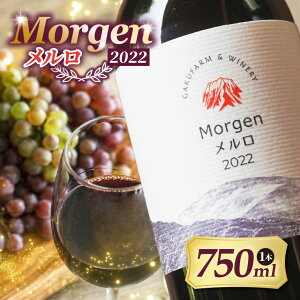 yӂ邳Ɣ[ŁzMorgen2022bC MB ԃC Ԃǂ 쌧 {s 󏭉l 킢    