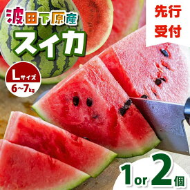 【ふるさと納税】【先行受付：2026年発送】選べる! Heart-Landノムラ　波田下原産スイカ　Lサイズ（6～7kg） |ふるさと納税 フルーツ 果物 スイカ 西瓜 波田スイカ 下原スイカ 夏 旬のスイカ 大玉スイカ シャリ感 野菜 長野県 松本市 人気 オススメ 先行受付 令和8年 発送