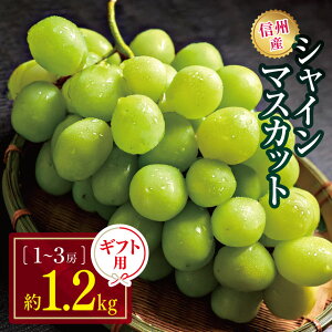 �y�ӂ邳�Ɣ[�Łz�y��s��t�F2026�N�����z�M�B�Y �V���C���}�X�J�b�g ��1.2kg(1�[�`3�[) �b�ӂ邳�Ɣ[�� �M�B ���{ �V���C���}�X�J�b�g ��� �Â� �ʕ� �t���[�c �Â� ��������