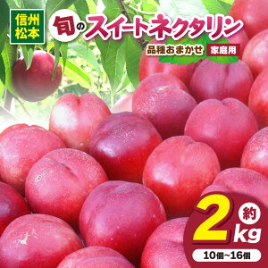 �y�ӂ邳�Ɣ[�Łz�y��s��t�F2026�N�����z�M�B�Y �i�킨�܂����{�̃l�N�^���� �ƒ�p��2kg�i10�`16�j�b�ӂ邳�Ɣ[�� �M�B ���{ �l�N�^���� �I���W�i�� �i�� �Â� �ʕ� �t���[�c �Â� ��