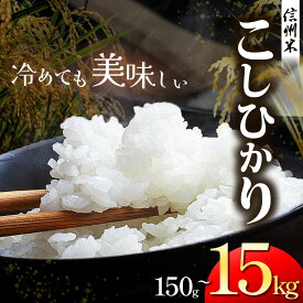 【ふるさと納税】 新米 令和7年産 米 こしひかり 信州 米 | 選べる 信州松本産 こしひかり 白米 150g～15kg │信州 松本市 米 お米 コシヒカリ こしひかり アルプス 国産米 長野県産 おすすめ 白米 ふっくら 田畑 農家 ふるさと納税 松本市 美味しい