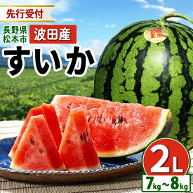 【ふるさと納税】【先行受付：2026年発送】 信州名産 スイカ 長野県 波田産 西瓜 2L（ 約7kg～8kg ) │ 信州 松本市 名産地 すいか 果物 野菜 フルーツ くだもの ふるーつ ふるさと納税 好食感 高糖度 甘い 美味しい 長野名物 特産品 夏果物 令和8年 7月 - 8月 発送