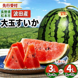 【ふるさと納税】【先行受付：2026年発送】 選べる！ 松本市 波田産 大玉すいか 3L～4L │ 信州 松本市 長野県 西瓜 すいか 果物 大玉 スイカ フルーツ くだもの 旬のスイカ 大玉スイカ シャリ感 ふるーつ