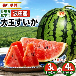 yӂ邳Ɣ[ŁzystF2026Nz IׂI {s gcY ʂ 3L`4L  MB {s 쌧 Z  ʕ  XCJ t[c  {̃XCJ ʃXCJ V