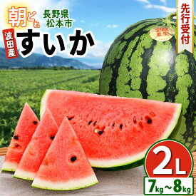 【ふるさと納税】信州名産 スイカ 先行受付中 長野県 波田産 西瓜 2L（ 約7kg～8kg ) │ 信州 松本市 名産地 すいか 果物 野菜 フルーツ くだもの フルーツ ふるーつ ふるさと納税 好食感 高糖度 甘い 美味しい 長野名物 特産品 夏果物 令和7年 7月 - 8月 発送